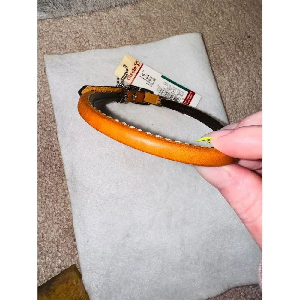 Circle T  Honey patina Leather Dog Collar 14" & 12” BOTH FOR 20 - Picture 2 of 8